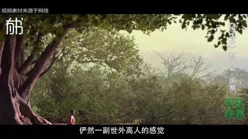 世上无人再似他,探寻无人能及的传奇人物