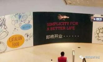 穿越灾荒年，我靠超市仓库救红颜,灾荒年里的红颜救赎之旅