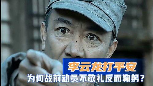 老鹰五兄弟拜托了,翱翔天际的传奇之旅