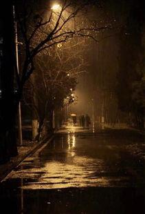 他远在咫尺上,他远在咫尺的深情故事