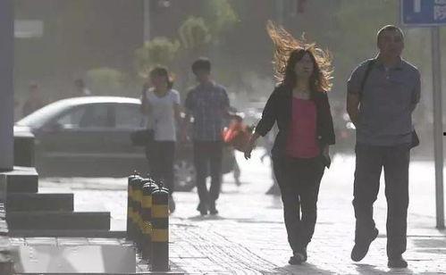 桃色诊疗室,揭秘医疗行业的隐秘角落