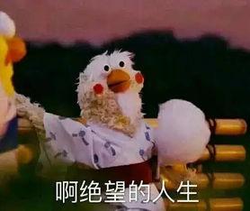 重生回闺蜜肚子里我俩制霸全场（真心错付后我和闺蜜联手虐渣）